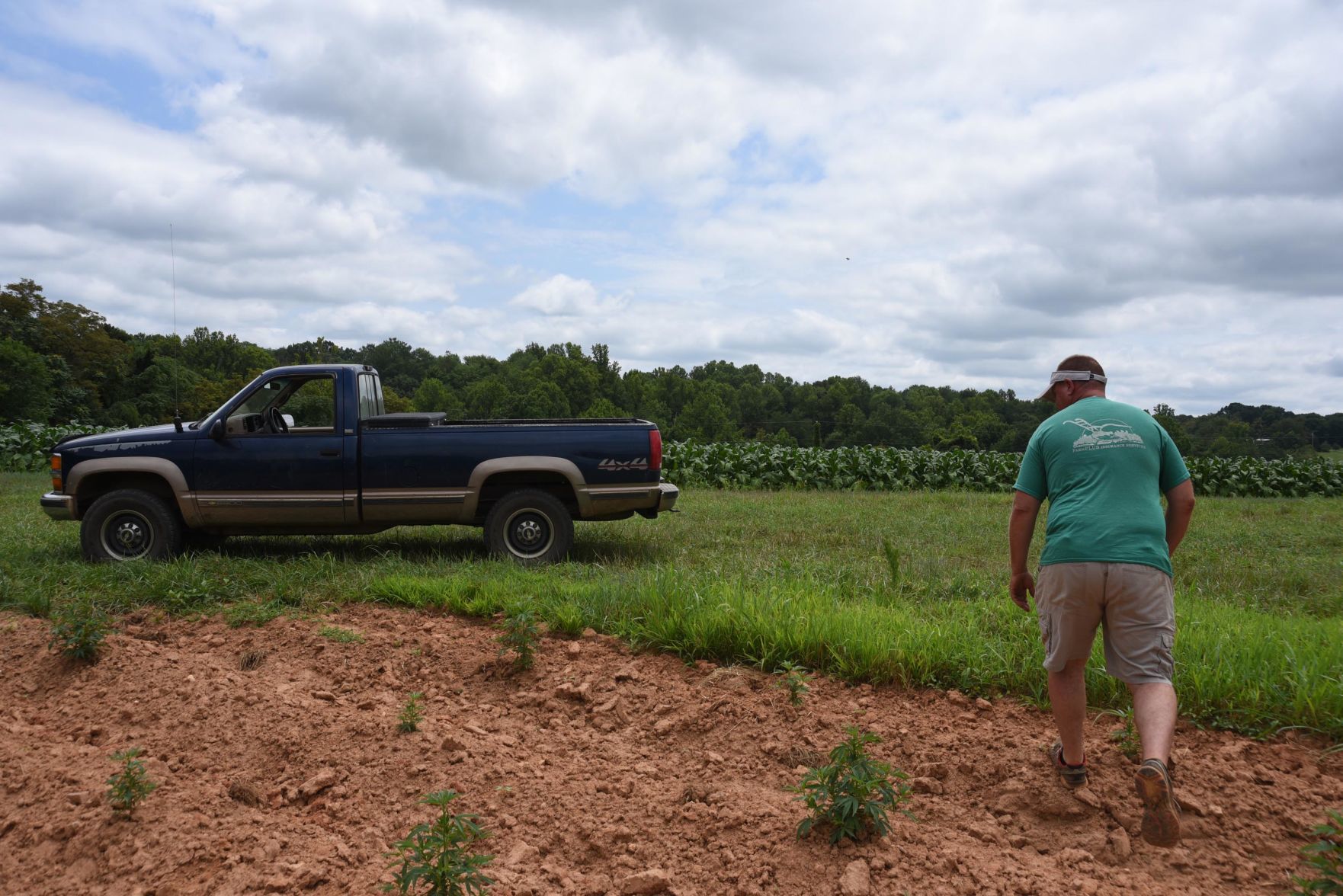 The hemp experiment